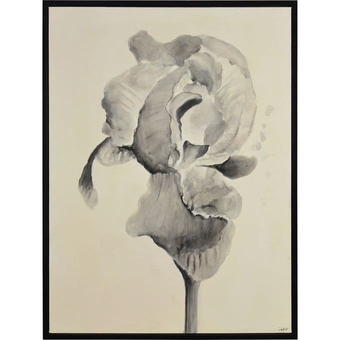 Bardet — image 1