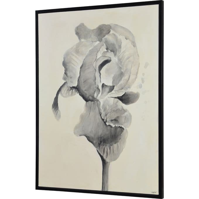 Bardet — image 2