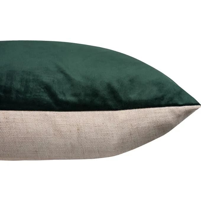 Olive — image 3
