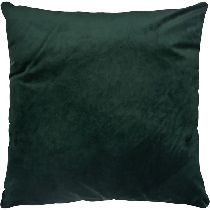 Olive — image 1