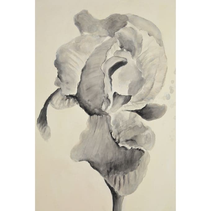 Bardet — image 4