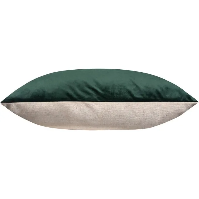 Olive — image 2