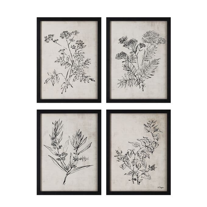 Basset — image 1