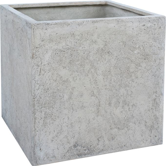 Alona — image 2