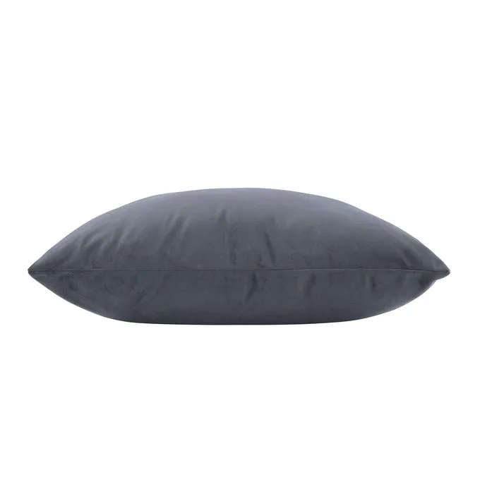 Anemone — image 2