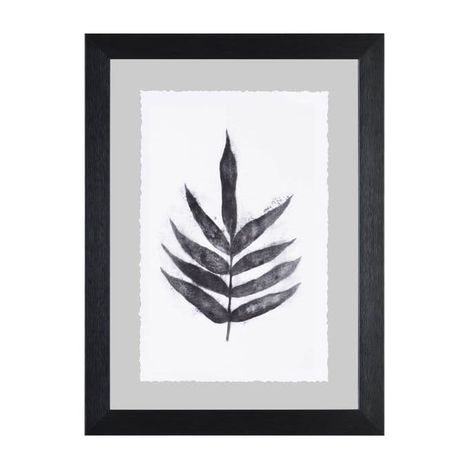 Elmdale — image 2