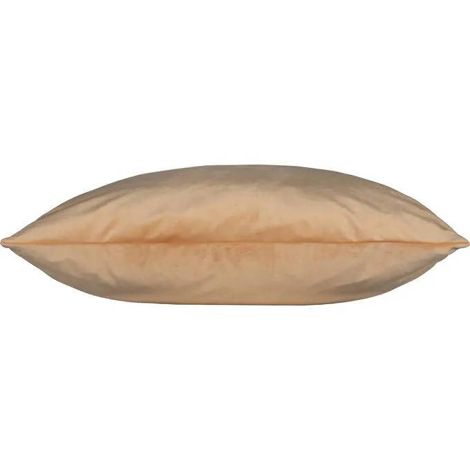 Kristy — image 2