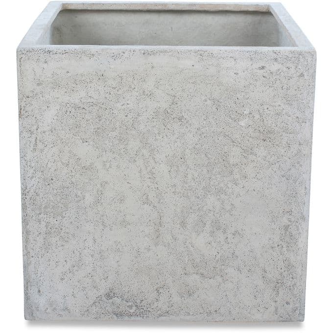Alona — image 1