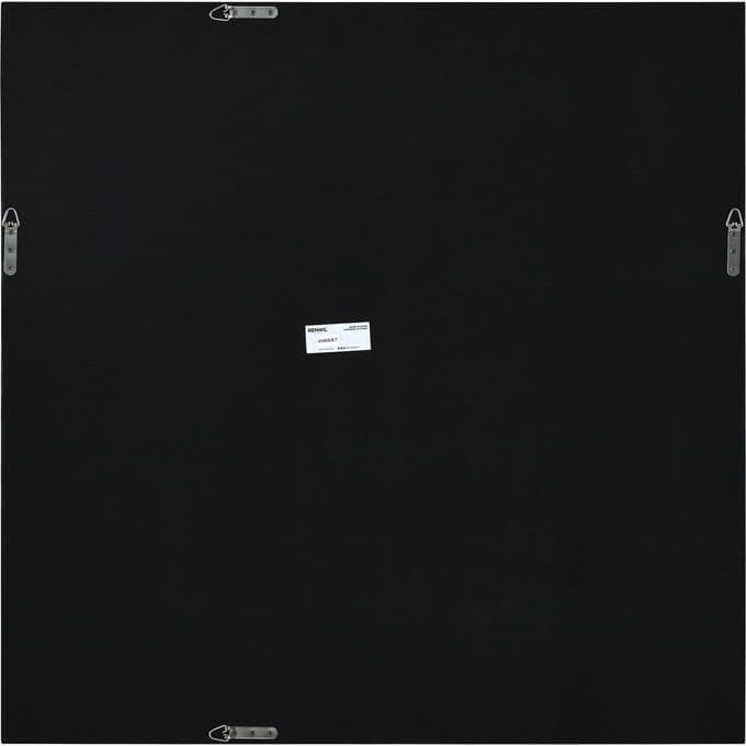 Jovi — image 6