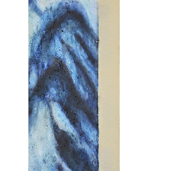 Acubens — image 5