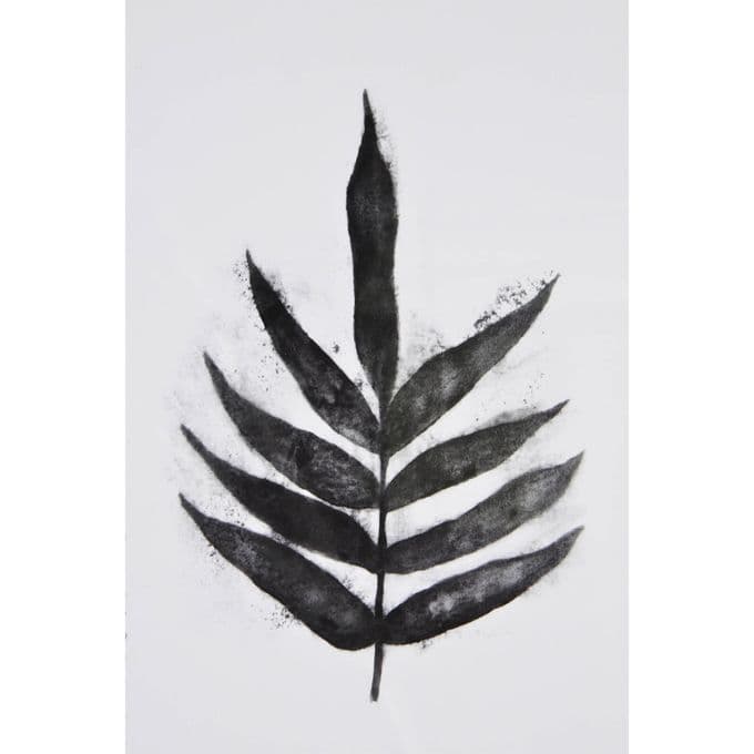 Elmdale — image 4