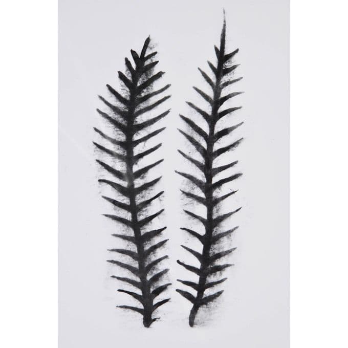 Elmdale — image 8