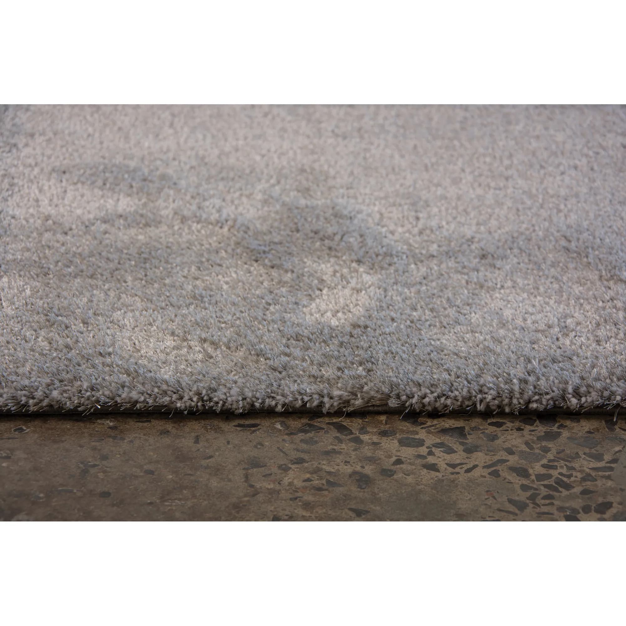 Wilma — image 3